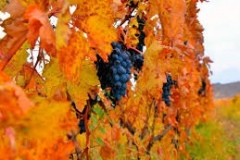 armenia_05